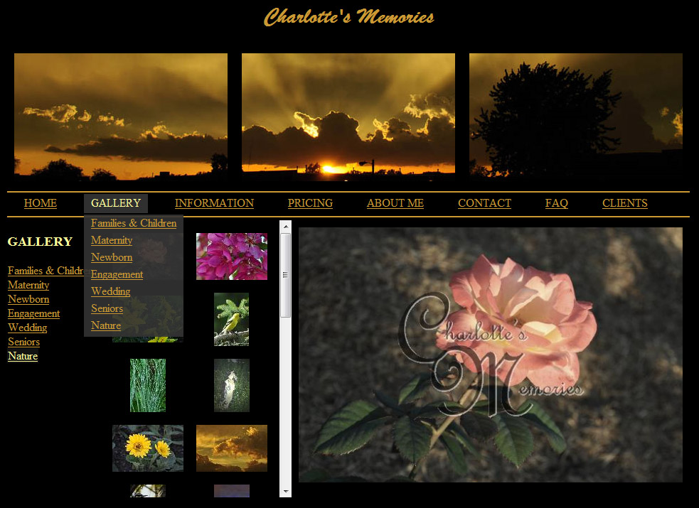 Charlotte's Memories
